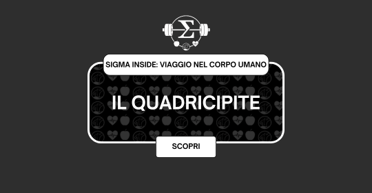 Il Quadricipite
